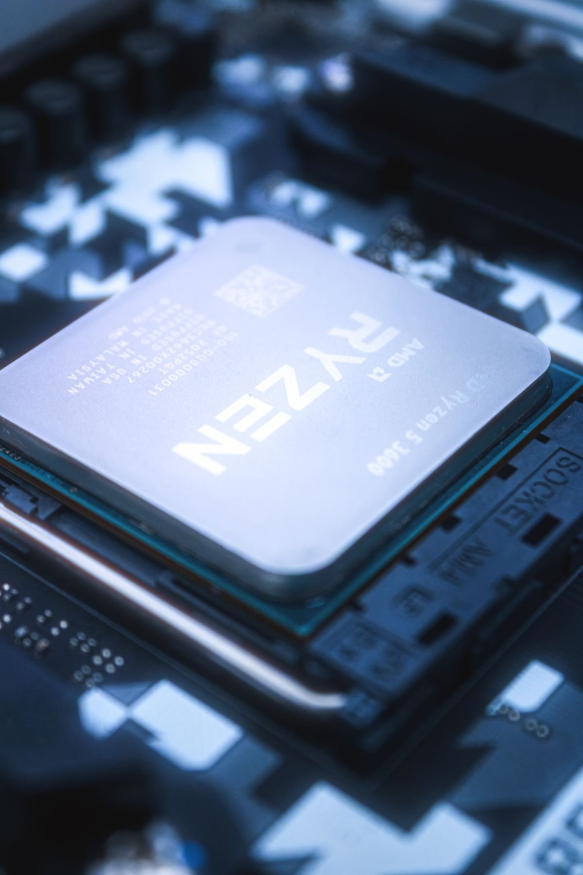 AMD Ryzen 5 9600X